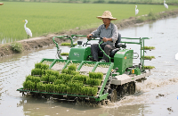 农业机械： 联系我们-盛世负责人微信 19147398191微【89678120】